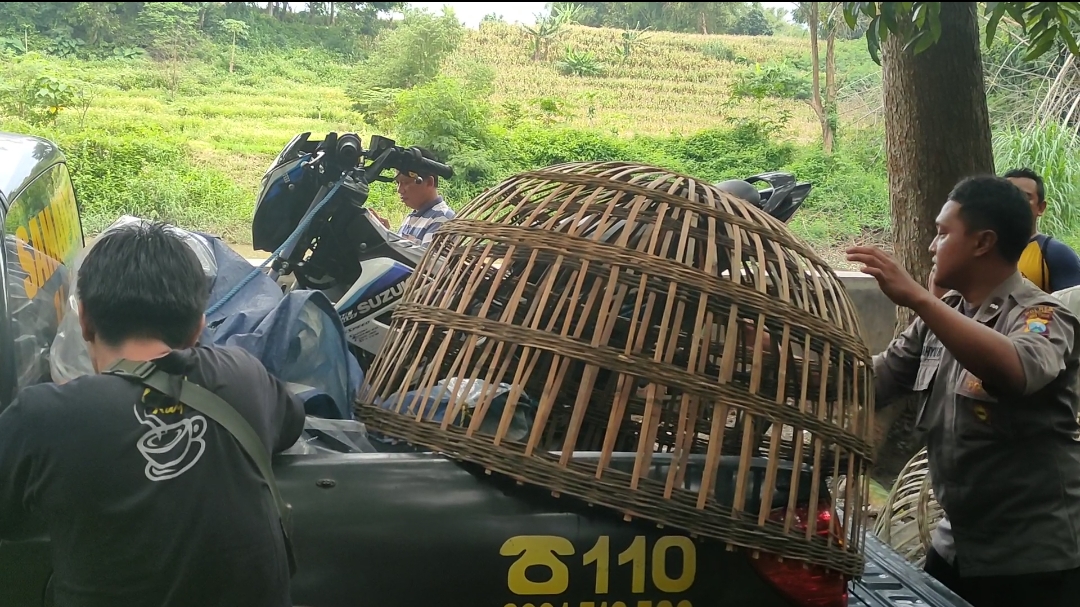 Polres Mojokerto Hentikan Judi Sabung Ayam, Tindaklanjuti Keluhan Warga Saat Jumat Curhat