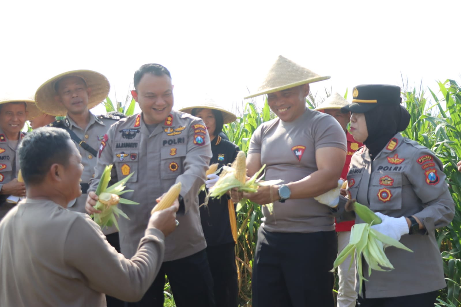 Polres Blitar Panen Jagung Manfaatkan Lahan Tidur Dukung Ketahanan Pangan