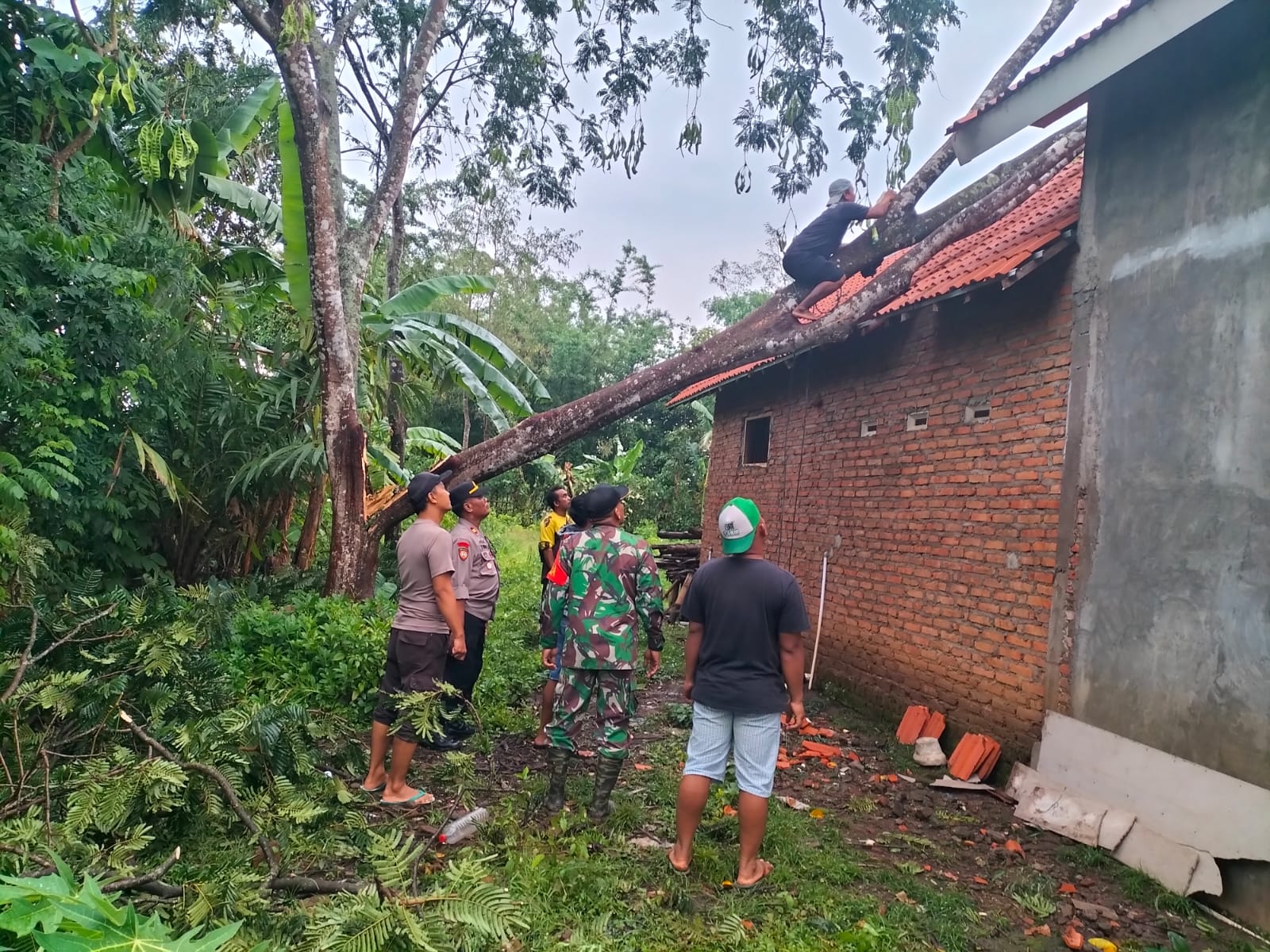 Sinergitas, Polisi bersama TNI dan Warga Tangani Dampak Puting Beliung di Bondowoso