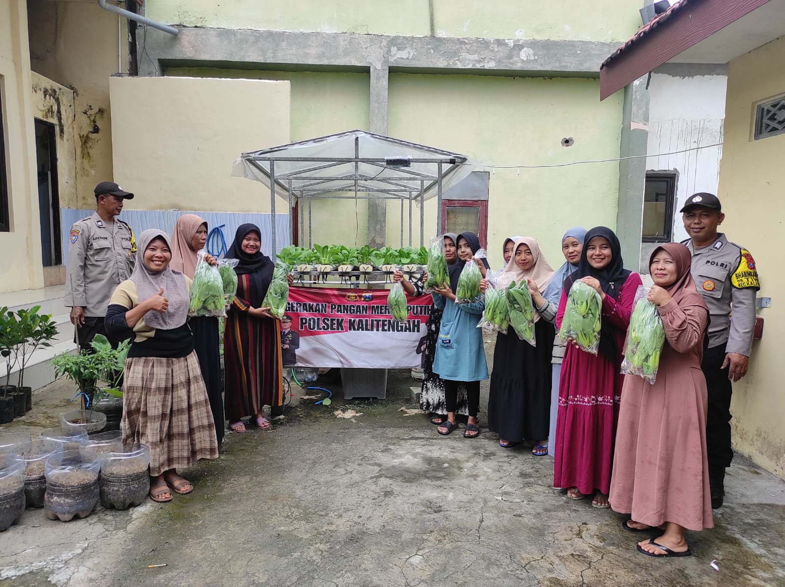 Panen dan Pembagian Sayuran Pakcoy Hidroponik oleh Polsek Kalitengah