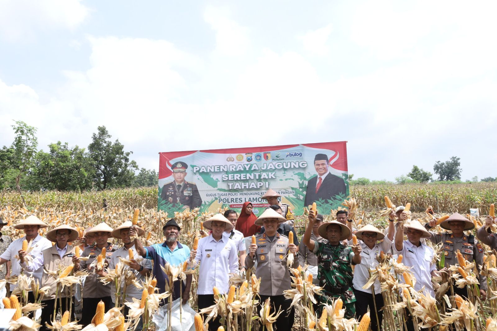 Kapolres Lamongan Bersama Forkopimda Panen Raya Jagung Serentak Di Lamongan: Dukung Ketahanan Pangan Nasional