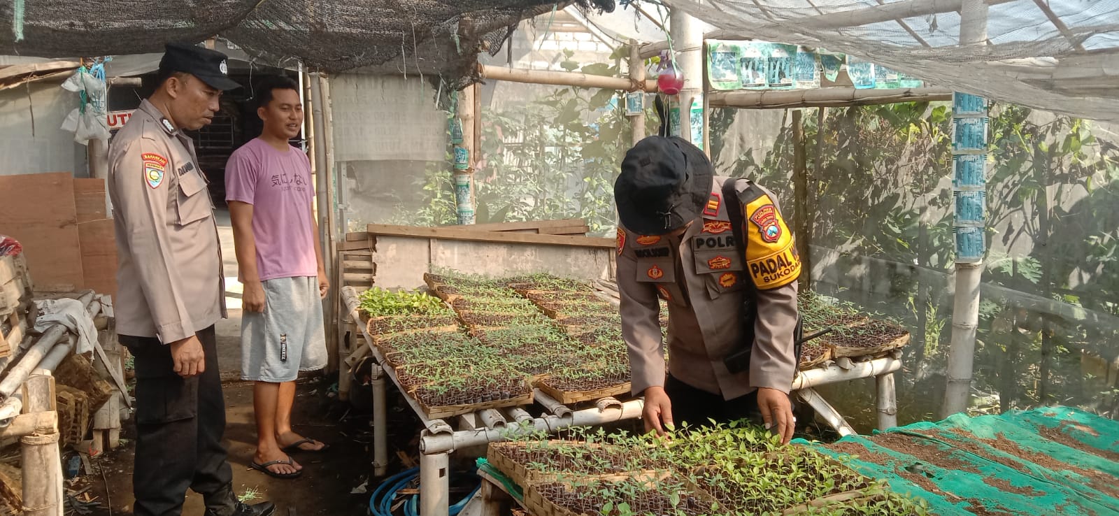 Polsek Sukodadi Cek Pekarangan Bergizi Warga untuk Dukung Swasembada Pangan